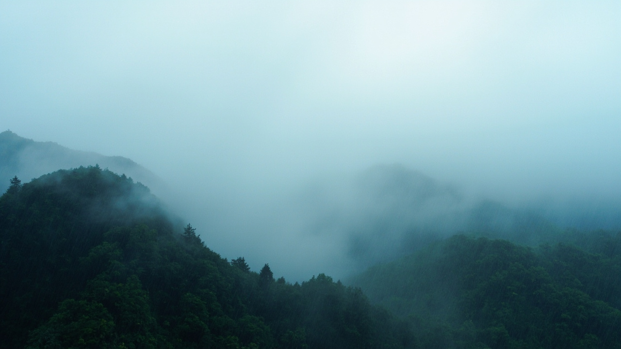 阴雨天的济州岛山间雾气